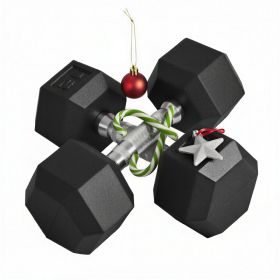 Hex Rubber Dumbbell Set for No Rolling 2x12lbs (Option: Black-290x220x110 mm)