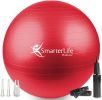 Exercise Ball Yoga Ball for Fitness, Balance, Stability, or Pregnancy, Gym Ball for Core Workout, Physical Therapy, Yoga Ball Chair for Office